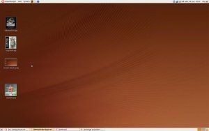 screen ubuntu.jpg