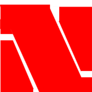 nelson_logo Neu.png