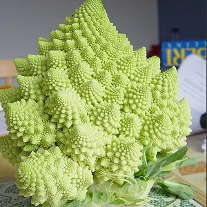 romanesco.jpg