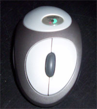 mouse.jpg