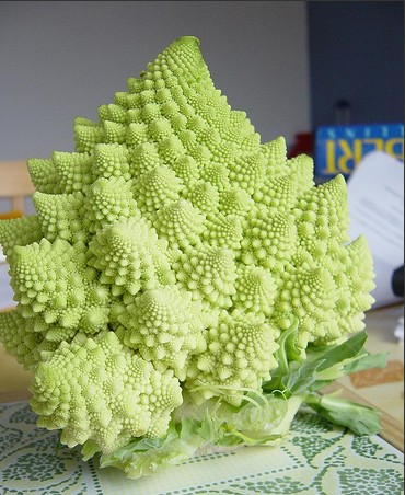 romanesco.jpg